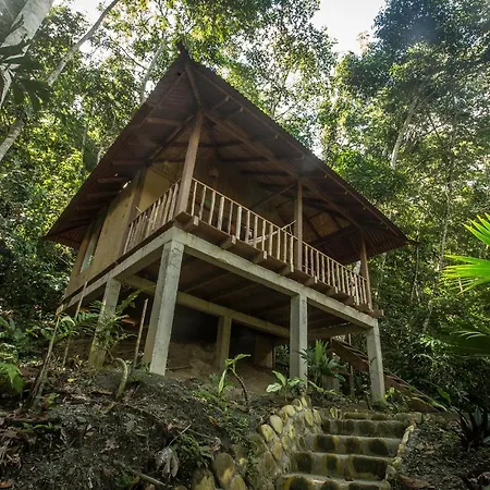 Chirapa Manta Amazon Lodge Lamas Exterior photo