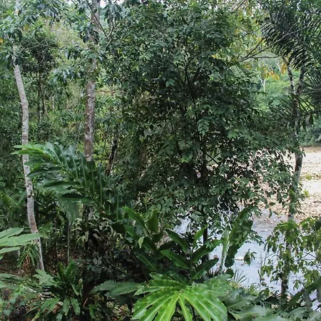 Chirapa Manta Amazon Lodge Lamas Exterior photo