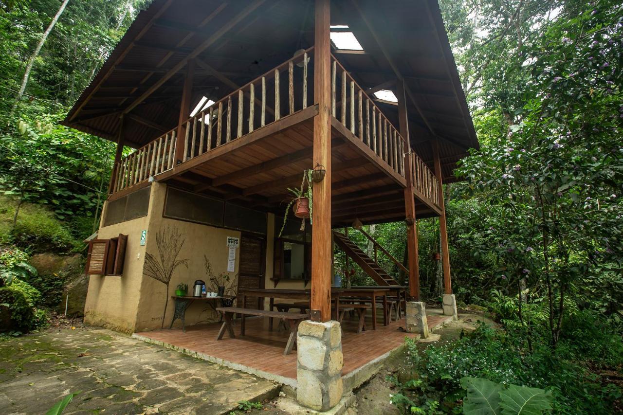 Chirapa Manta Amazon