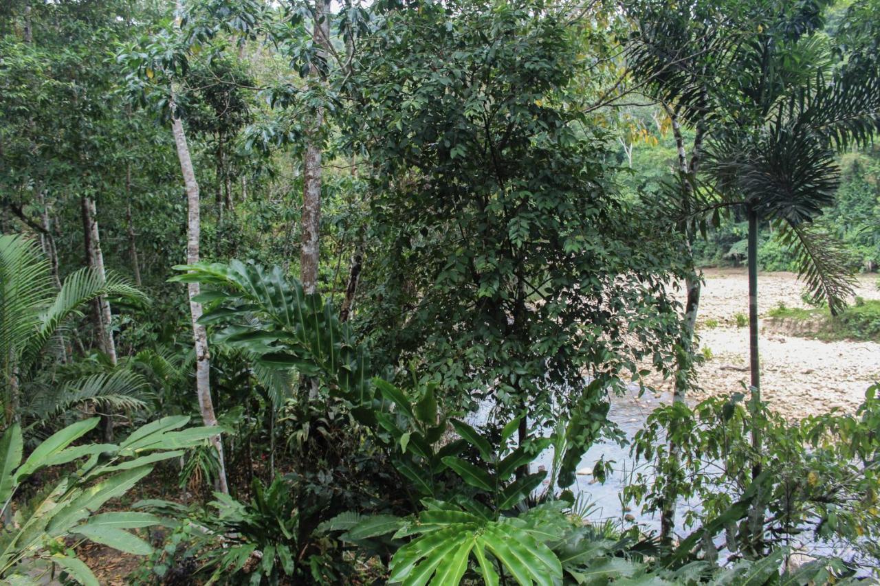 Chirapa Manta Amazon