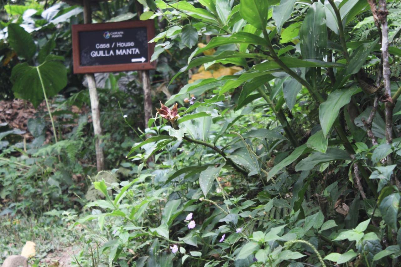 Chirapa Manta Amazon Lodge *